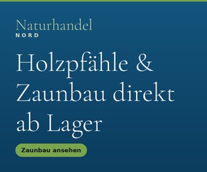 Holzpfähle & Zaunbau direkt ab Lager